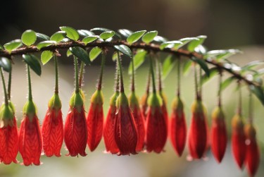 东莞虎门私人快速借钱网，轻松解决资金难题
