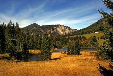 东莞虎门民间私贷攻略：揭秘低成本借贷的秘密